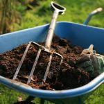 How to Tell if Your Soil is Alright?