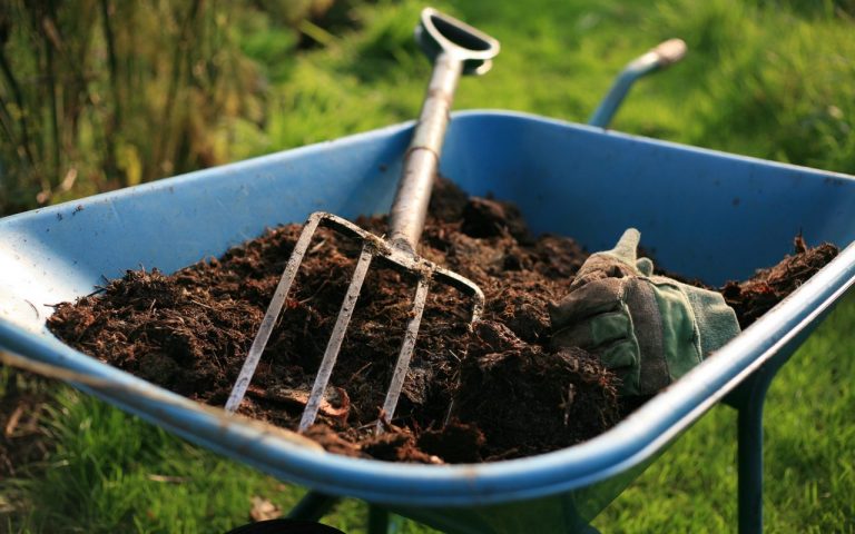 How to Tell if Your Soil is Alright?